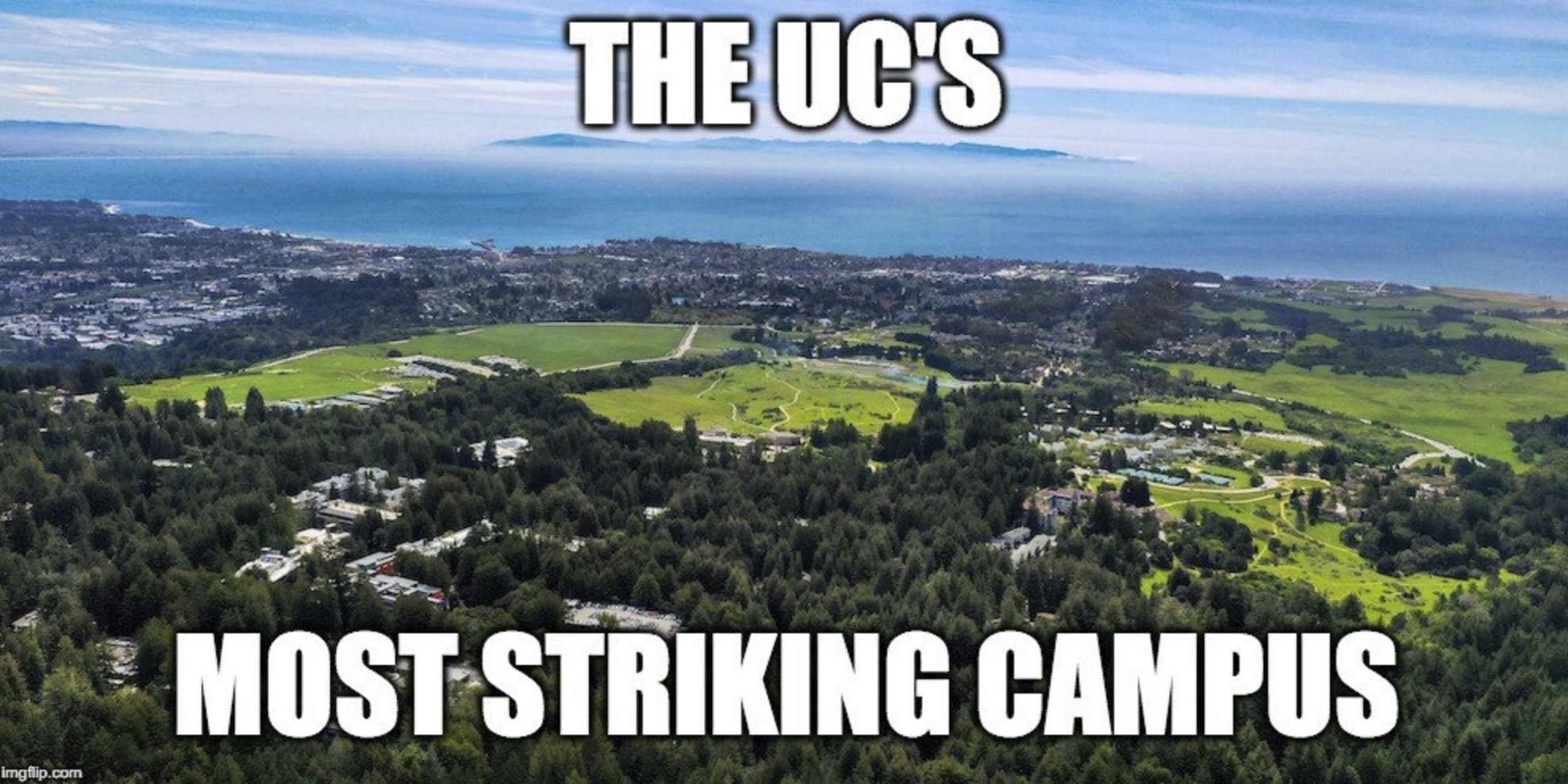In Support of UCSC TA’s
